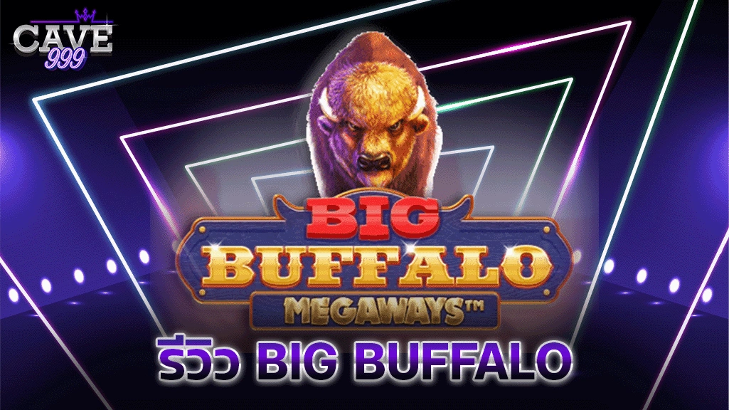 รีวิว Big Buffalo